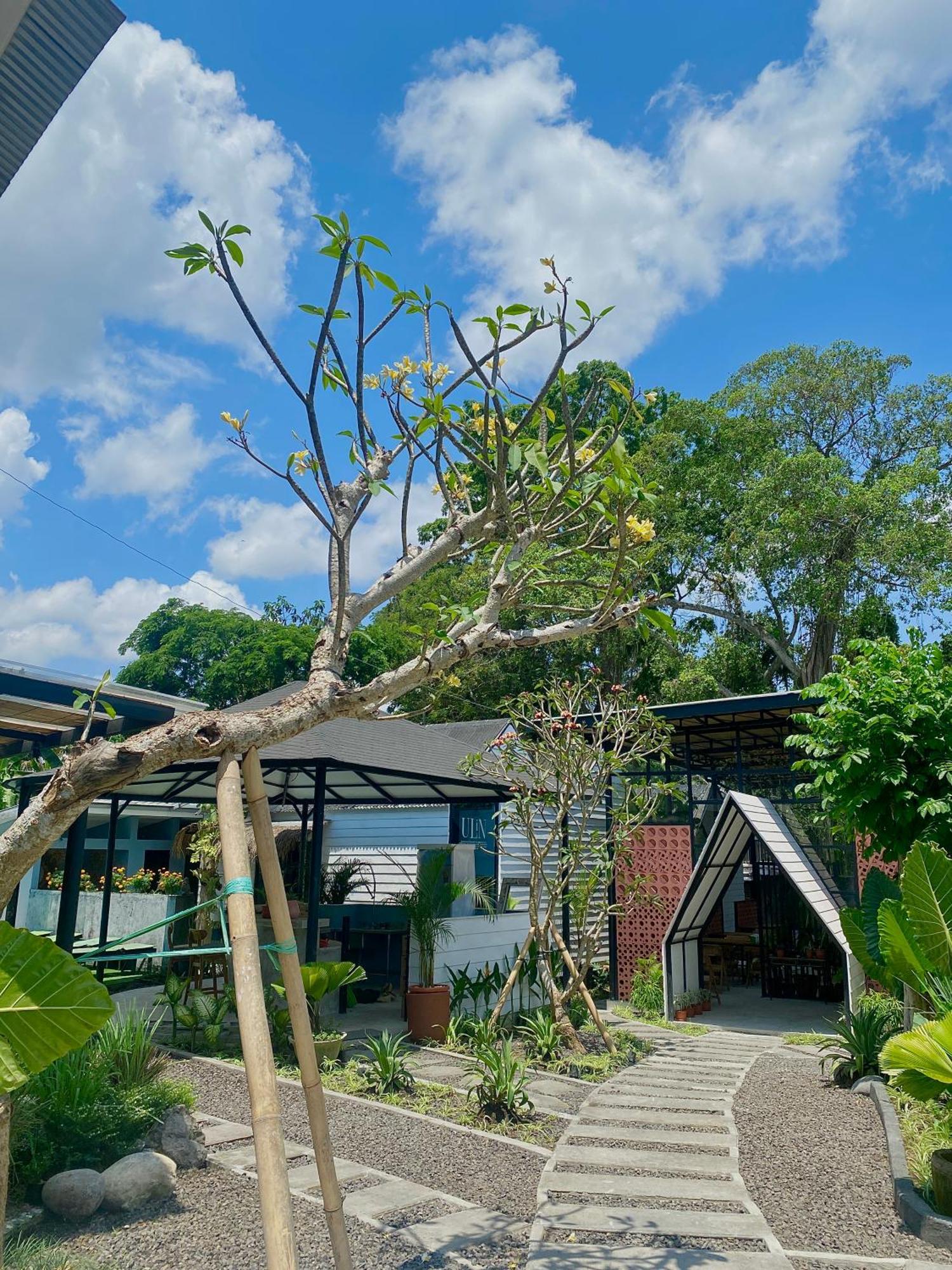 The Jungle Hostel Canggu Exteriör bild